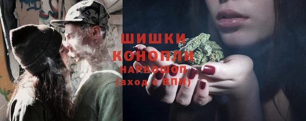 дмт Заводоуковск