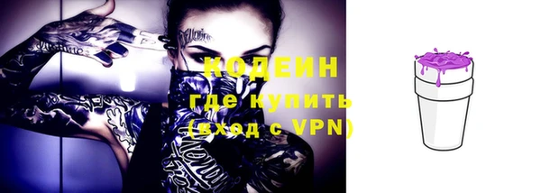 прущие грибы Заволжск