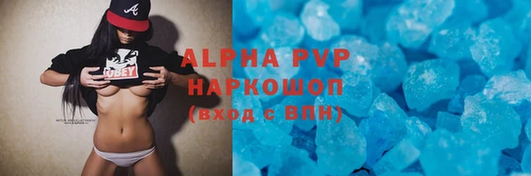 прущие грибы Заволжск