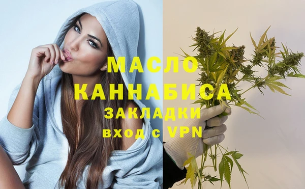 дмт Заводоуковск