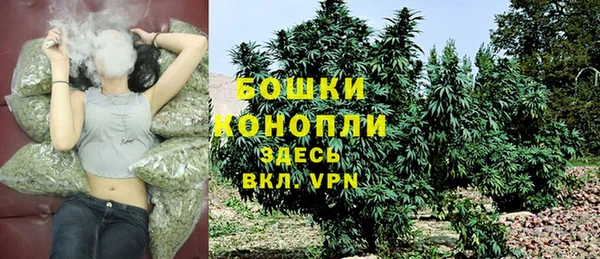 прущие грибы Заволжск