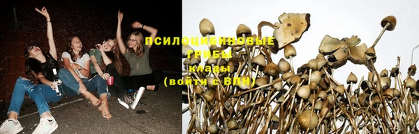 спиды Заволжье