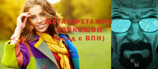 прущие грибы Заволжск