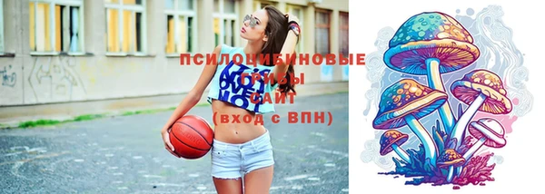прущие грибы Заволжск