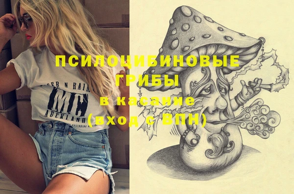 прущие грибы Заволжск