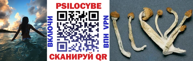 Галлюциногенные грибы Psilocybine cubensis  Зеленодольск 