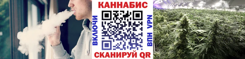 Шишки марихуана AK-47  купить  сайты  Зеленодольск 